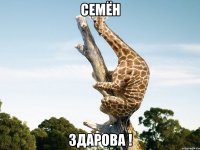 Семён здарова !