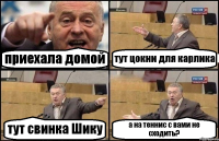 приехала домой тут цокни для карлика тут свинка Шику а на теннис с вами не сходить?