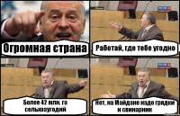 Огромная страна Работай, где тебе угодно Более 42 млн. га сельхозугодий Нет, на Майдане надо грядки и свинарник