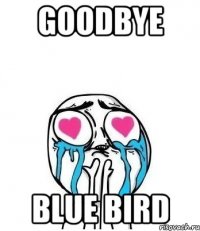 goodbye blue bird