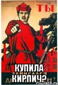  КУПИЛА КИРПИЧ?