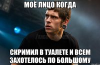 МОЁ ЛИЦО КОГДА СКРИМИЛ В ТУАЛЕТЕ И ВСЕМ ЗАХОТЕЛОСЬ ПО БОЛЬШОМУ