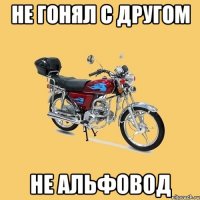 не гонял с другом не альфовод