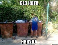 без кота никуда