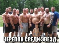  Черепок среди звезд