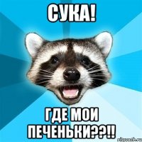 СУКА! ГДЕ МОИ ПЕЧЕНЬКИ??!!