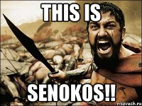 THIS IS SENOKOS!!