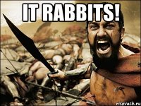 It Rabbits! 