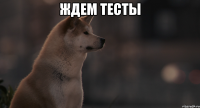 Ждем тесты 