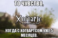 То чувство, Когда с Хогвартсом уже 5 месяцев.