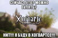 Сейчас лето? Можно гулять? Нит!!! Я буду в Хогвартсе!!!