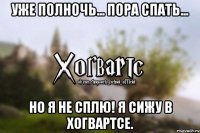 Уже полночь... Пора спать... Но я не сплю! Я сижу в Хогвартсе.