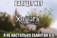 вапщет нет я не настолько ебанутая о.о