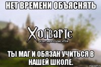 Нет времени объяснять Ты маг и обязан учиться в нашей школе.