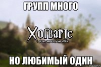 Групп много Но любимый один