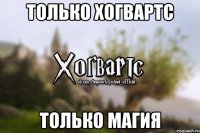 только хогвартс только магия