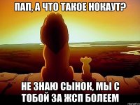 Пап, а что такое нокаут? Не знаю сынок, мы с тобой за ЖСП болеем