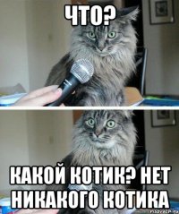 Что? Какой котик? Нет никакого котика