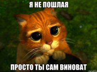 Я не пошлая просто ты сам виноват