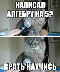 Написал алгебру на 5? Врать научись