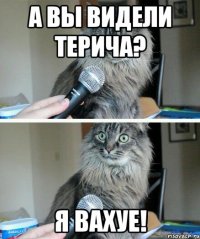 А вы видели Терича? Я вахуе!