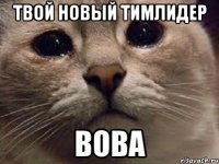 Твой новый тимлидер Вова