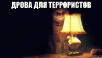 дрова для террористов 