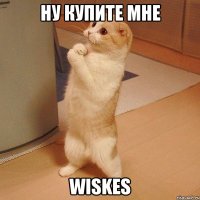 НУ КУПИТЕ МНЕ WISKES