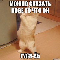 Можно сказать вове то что он Гуся-ёб