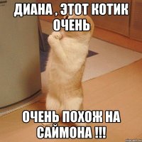 Диана , этот котик очень очень похож на Саймона !!!