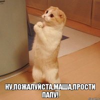  Ну,пожалуйста,Маша,прости папу!