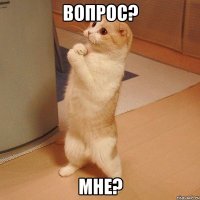 Вопрос? Мне?