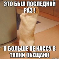 Это был последний раз ! я больше не нассу в тапки обещаю!