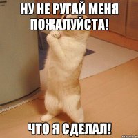 Ну не ругай меня пожалуйста! что я сделал!