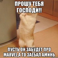 Прошу тебя Господи!! Пусть он забудет про MarveL,а то заебал Аминь