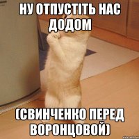 ну отпустіть нас додом (свинченко перед воронцовой)