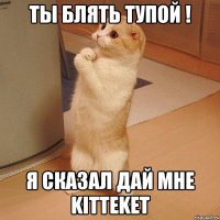 Ты блять тупой ! Я сказал дай мне kitteket