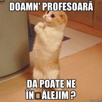 DOAMN' PROFESOARĂ DA POATE NE ÎNȚĂLEJIM ?