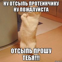 НУ ОТСЫПЬ ПРОТЕИНЧИКУ НУ ПОЖАЛУЙСТА ОТСЫПЬ ПРОШУ ТЕБЯ!!!