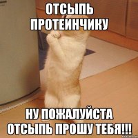 ОТСЫПЬ ПРОТЕИНЧИКУ НУ ПОЖАЛУЙСТА ОТСЫПЬ ПРОШУ ТЕБЯ!!!