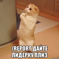  /report Дайте лидерку плиз