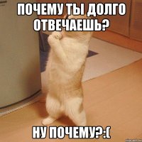 Почему ты долго отвечаешь? Ну почему?:(