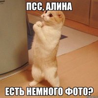 Псс, Алина Есть немного фото?