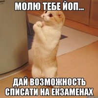 МОЛЮ ТЕБЕ ЙОП... ДАЙ ВОЗМОЖНОСТЬ СПИСАТИ НА ЕКЗАМЕНАХ