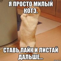 Я просто милый котэ. Ставь лайк и листай дальше...