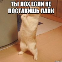 ты лох если не поставишь лайк 