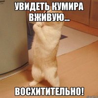 увидеть кумира вживую... восхитительно!