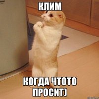 клим когда чтото просит)