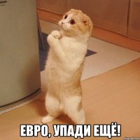  Евро, упади ещё!