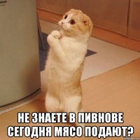  Не знаете в пивнове сегодня мясо подают?